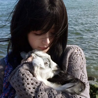 猛龙怪客